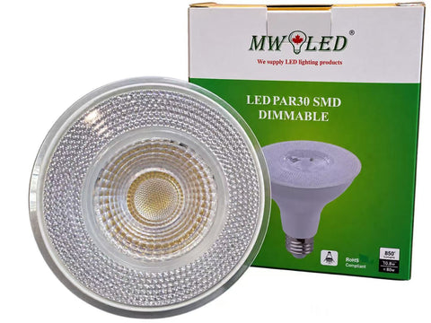 PAR30 LED Light Bulb, 75W Incandescent Replacement Spotlight, 5000K Daylight