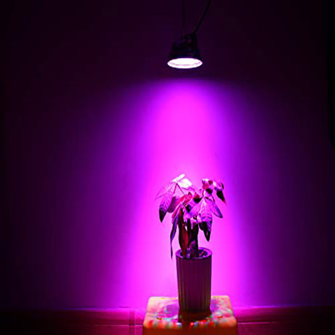 MW LED Grow Light 10 W LED Plant Light for Indoor Hydroponic Plants,for Growing Fresh Herbs, Vegetables, Salad Greens, Flowers