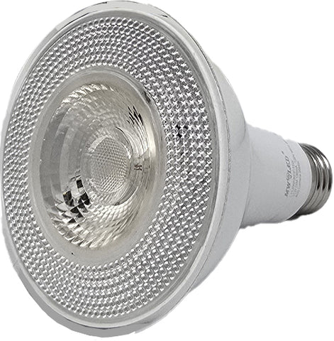 PAR30 LED Light Bulb, 75W Incandescent Replacement Spotlight, 5000K Daylight